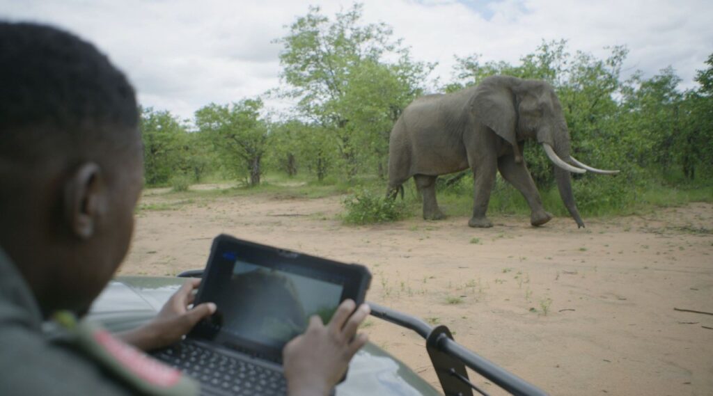 Dell Technologies fördert Artenschutz von Elefanten im südlichen Afrika