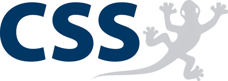 CSS Logo